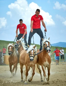 Haidook Summer Fest, Runcu - Dâmbovița. FOTO Facebook