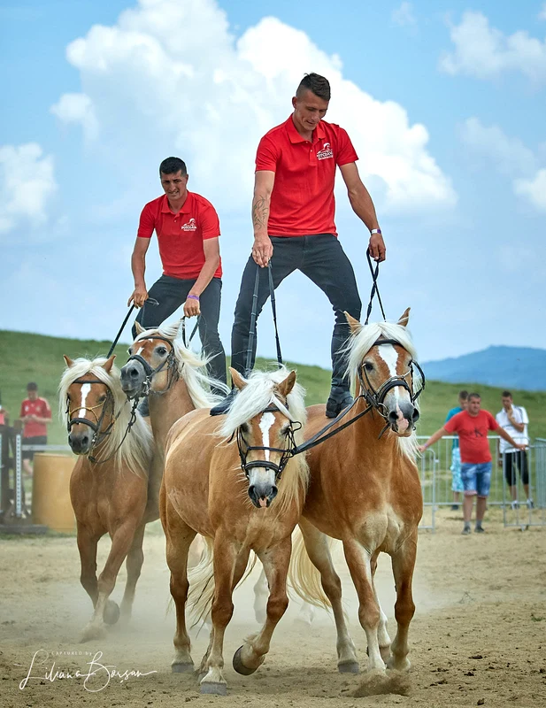 Haidook Summer Fest, Runcu - Dâmbovița. FOTO Facebook