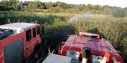 Incendiu în zona Vămii Giurgiuleşti 