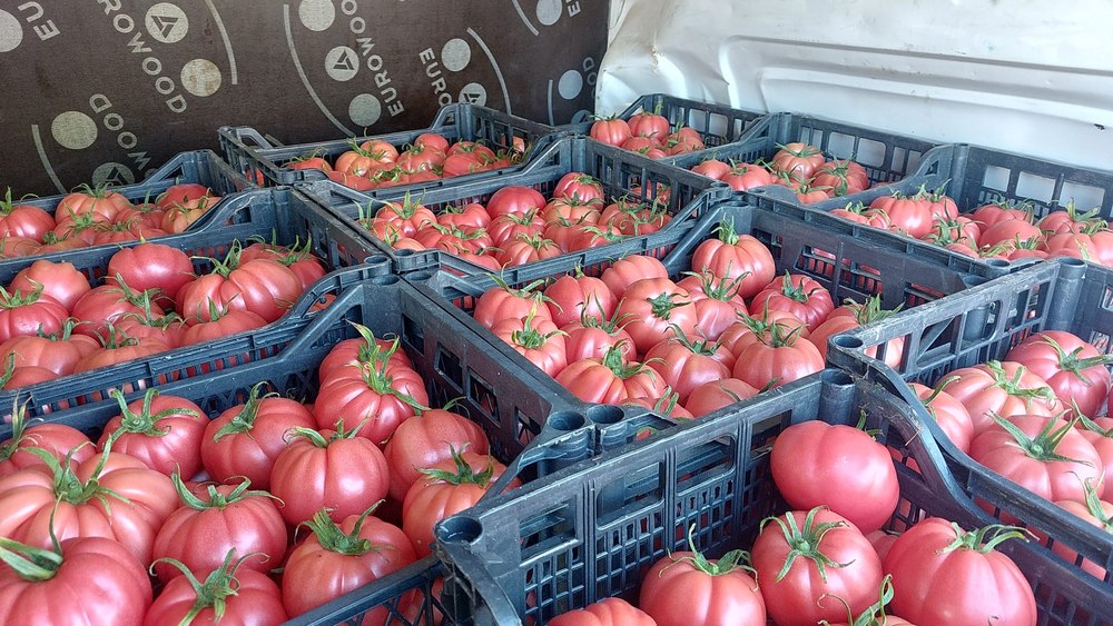 Noi reguli europene pentru fermieri și cumpărători pe întreg lanţul de aprovizionare agricol şi alimentar