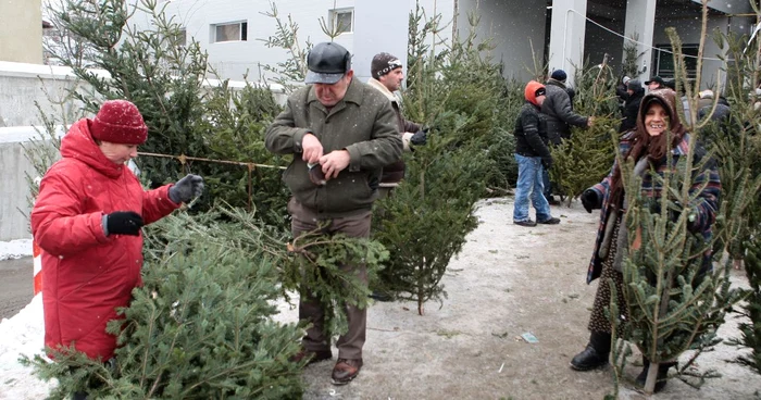 Brazii, la mare căutare în ajunul Sărbătorilor de iarnă