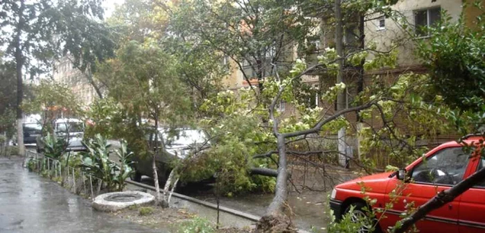 Arad: Furtuna face ravagii şi în cartiere