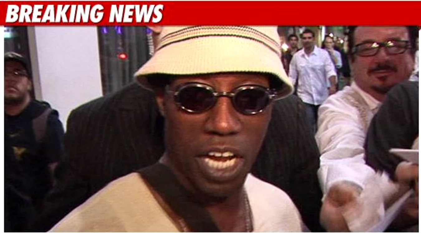 
    Wesley Snipes în arest  