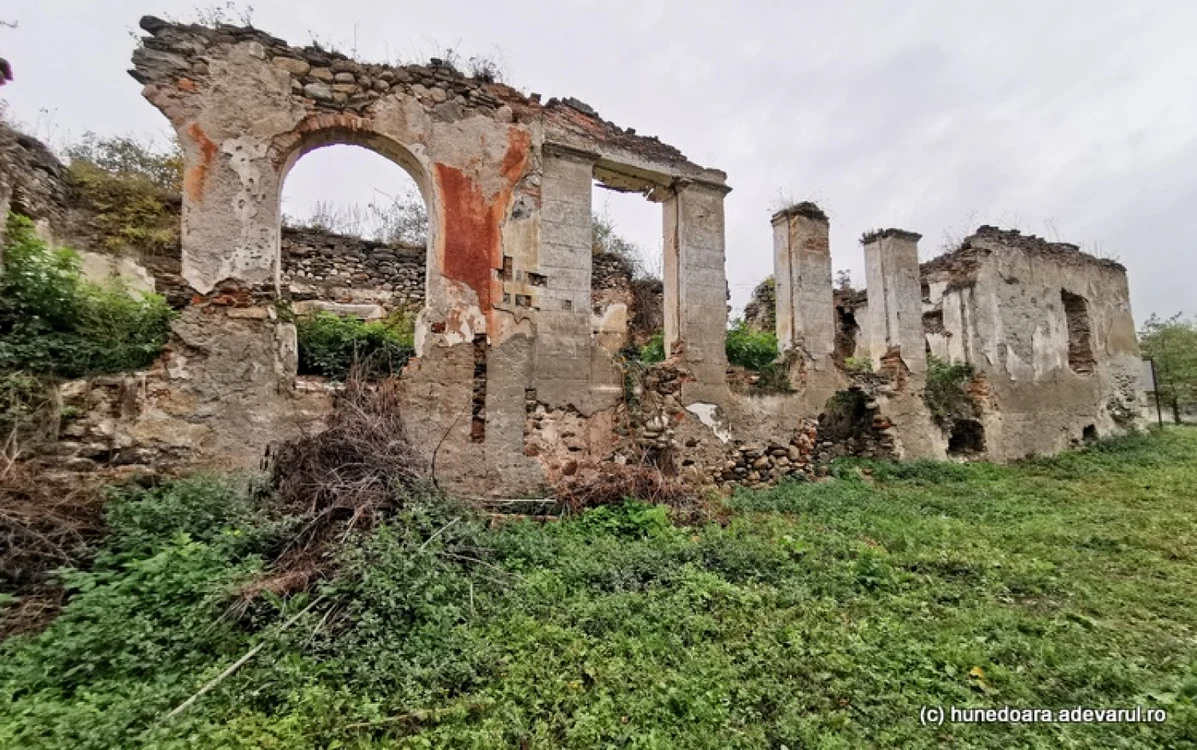curtea candestilor foto daniel guta adevarul