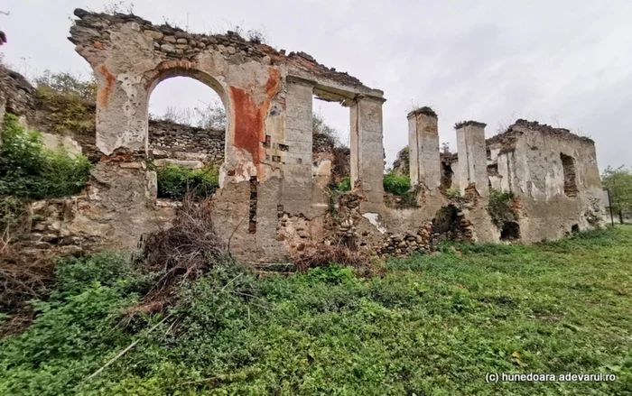 curtea candestilor foto daniel guta adevarul