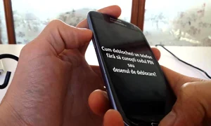 12083912 10207510463101521 675530733 n jpeg