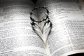 love 699480 1280 jpg
