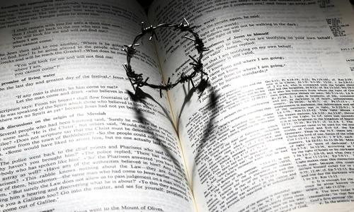 love 699480 1280 jpg