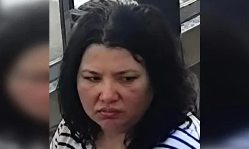 Anastasia Berezovskaya foto interpol png