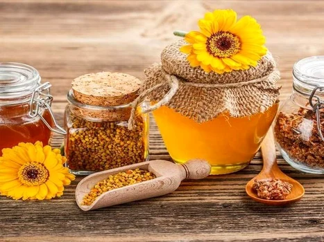 Produsele apicole au și efecte antibacteriene