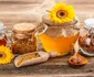 Produsele apicole au și efecte antibacteriene