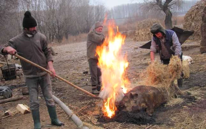 Pompierii recomandă ca porcul să nu fie pârlit în apropierea depozitelor de furaje FOTO Arhivă