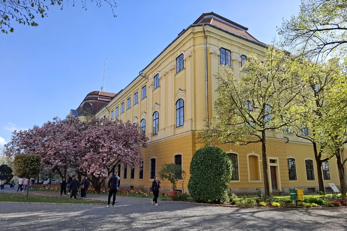 Foto: Facebook / Gabriel Kovacs