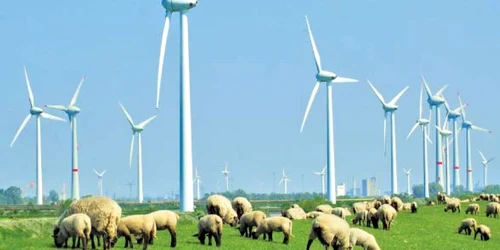 Costurile foarte mari de producţie a energiei eoliene se vor transfera în curând la consumatorii de curent electric   