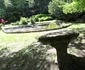 Parcul dendrologic Simeria Foto Daniel Guță ADEVĂRUL (37) JPG