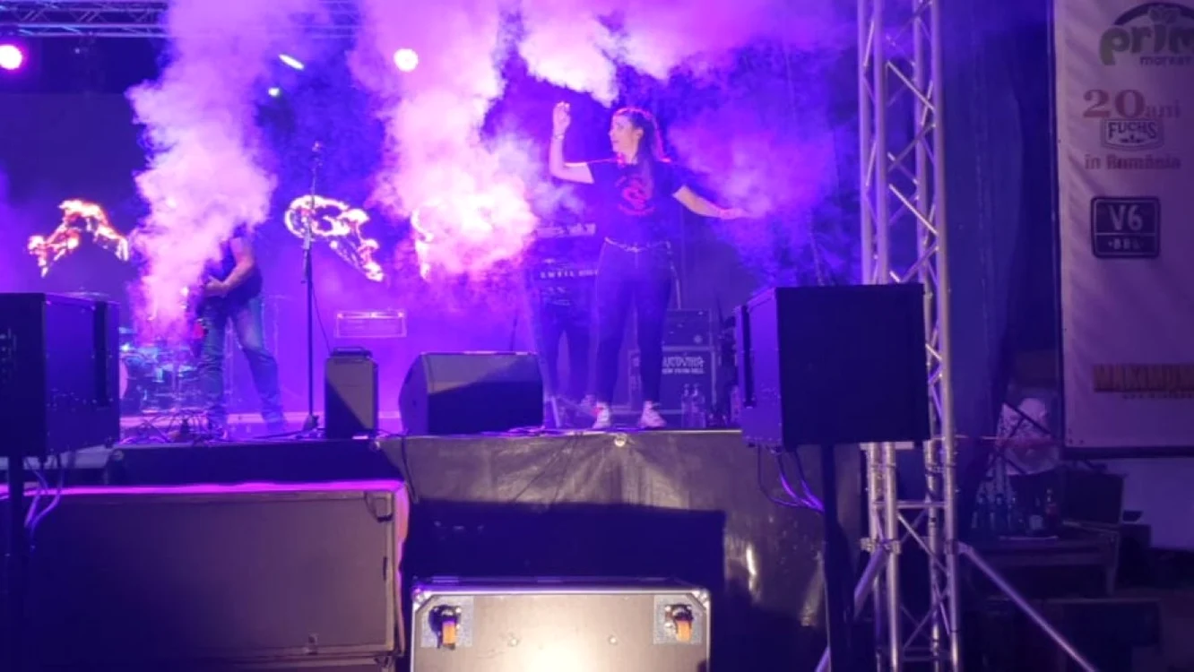 lavinia chitu traducere concert surzi cargo stonebird