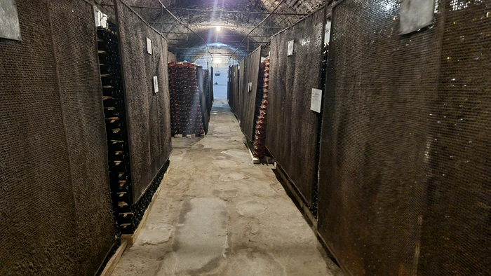 În prima sală spumantul stă 9 luni la fermentat FOTO: Ovidiu Oprea