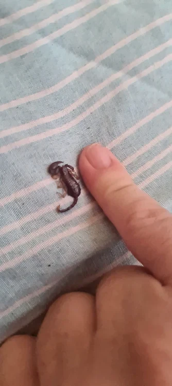 Imaginea postată pe Facebook de turistul român 