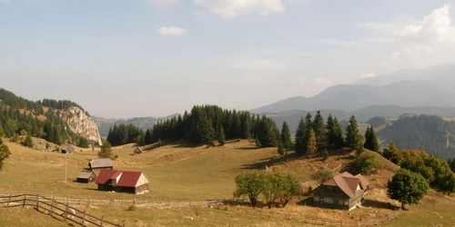 Fundata este vara un adevărat colţ de Rai. FOTOSimona Suciu