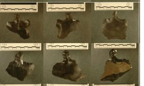 Insula Paştelui nu a fost distrusă în urma războaielor jpeg