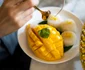 Orez lipicios cu mango, in topul celor mai delicioase deserturi din lume, foto shutterstock jpg