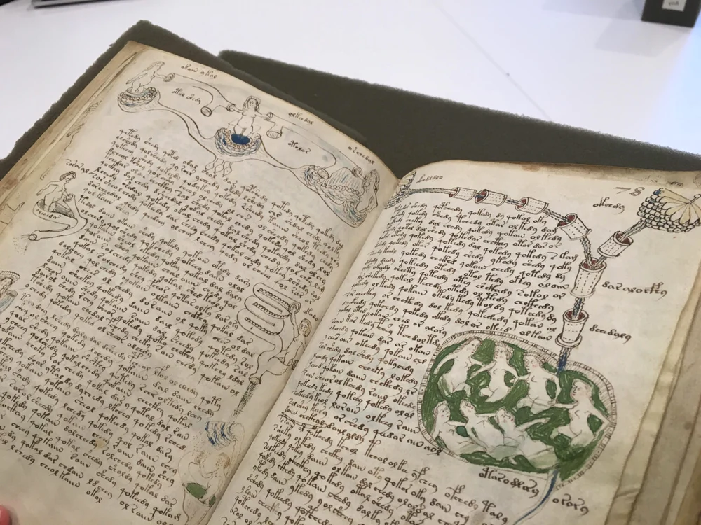 Manuscrisul Voynich.