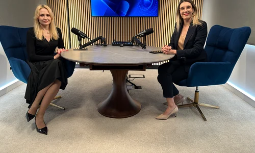 Diana Buzoianu la Interviurile Adevărul  FOTO: Adevărul