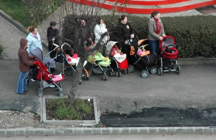 Reprezentanţii Chicco susţin că 80% din cărucioare sau scaune de maşină pentru copii sunt folosite de câte patru generaţii