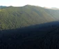 Poiana Pelegii Retezat Imagini aeriene Foto Daniel Guță ADEVĂRUL (8) jpg