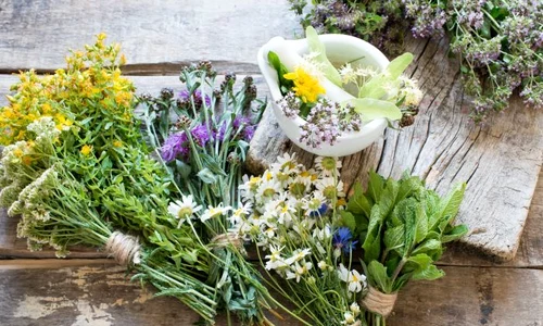 1 shutterstock 517309279 jpg jpeg