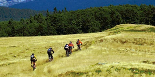 Reşiţa: Bicicliştii au trasee grele prin pădure la maratonul de la Gărâna