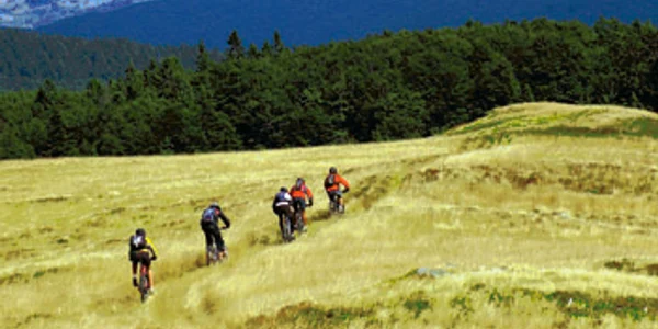 Reşiţa: Bicicliştii au trasee grele prin pădure la maratonul de la Gărâna