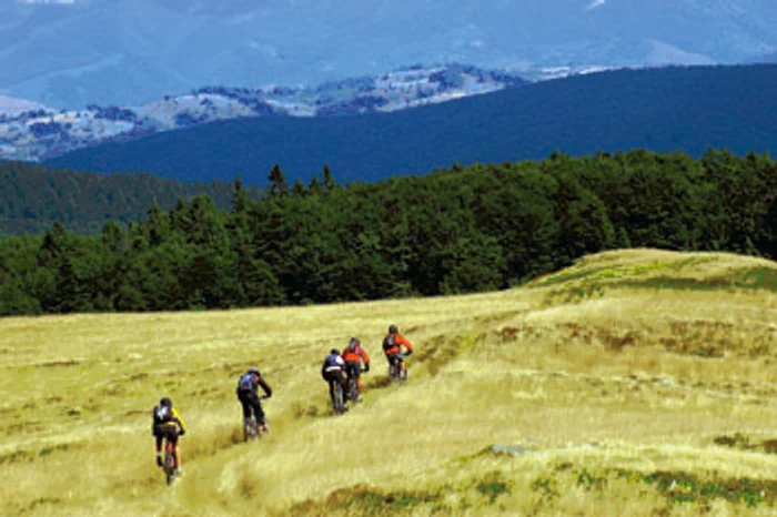 Reşiţa: Bicicliştii au trasee grele prin pădure la maratonul de la Gărâna