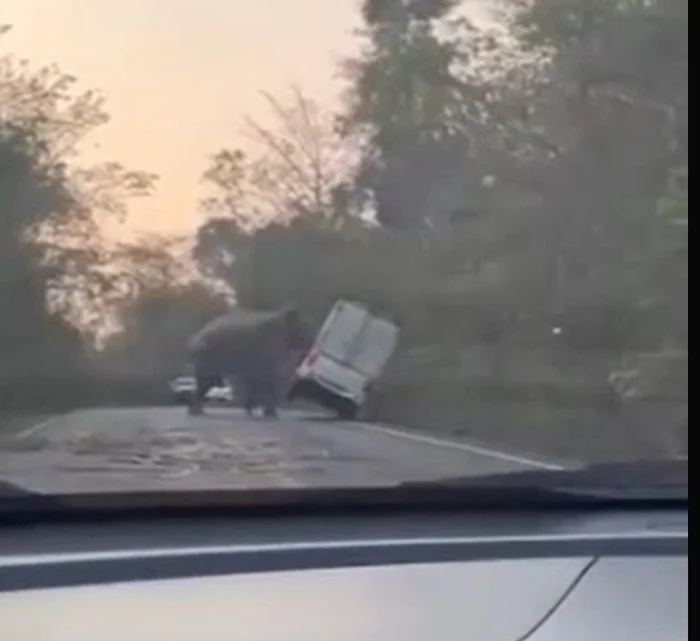 Un elefant a fost filmat în timp ce atacă o camionetă pe o șosea. Foto: Captură