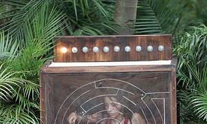 În junglă, Ruby a stat închisă într o cutie, fiind la un pas de leşin jpeg