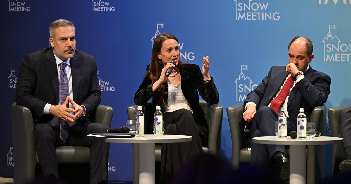 Oana Țoiu, la reuniunea „Snow Meeting” de la Vilnius: Discuții despre securitatea maritimă, industria de apărare și aderarea României la OCDE