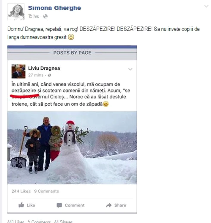 Simona a observat imediat greşeala lui Dragnea