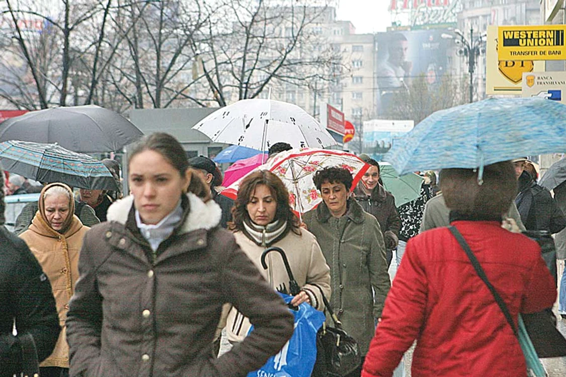 
    Frig și ploaie  
