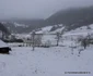 Iarna in Ponorici Foto Daniel Guță ADEVĂRUL (40) JPG