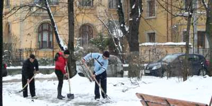 Concurenţii au dat probă de dat la lopată