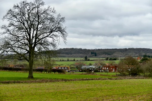 Ferma Pippa Middleton. FOTO: Profimedia