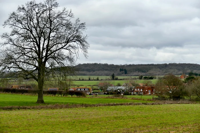 Ferma Pippa Middleton profimedia 0752447788 (1) jpg