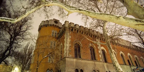 Castelul Huniade din Timişoara