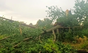 Fenomenele meteo extreme au dus la întreruperea traficului feroviar și restricții de circulație pe anumite sectoare