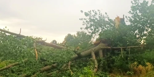 Fenomenele meteo extreme au dus la întreruperea traficului feroviar și restricții de circulație pe anumite sectoare