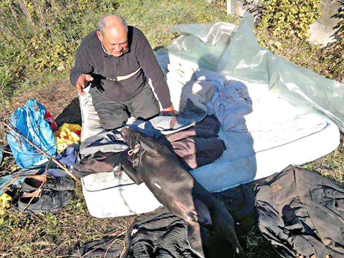 Domnul Nagy a trăit mai bine de 4 ani pe străzile din Cluj