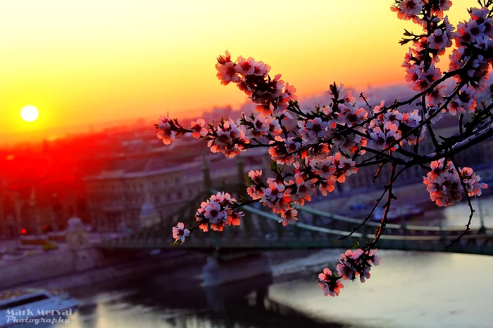 Cinci ani și sute de imagini grăitoare