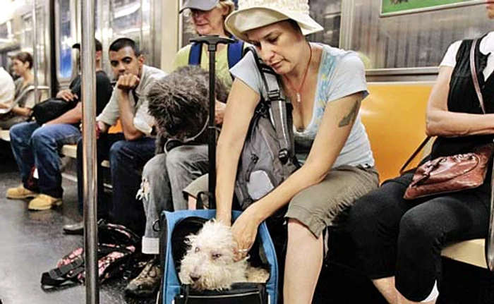 
    ... dar să nu îl  uiţi pe peron  