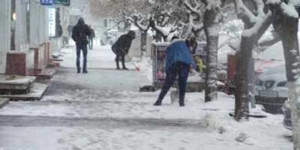 zapada focsani