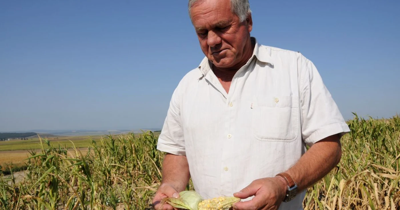 Seceta a făcut deja ravagii în agricultură, iar asta se va reflecta în evoluţia economiei FOTO Mediafax